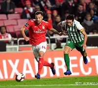 托特纳姆热刺球员名单